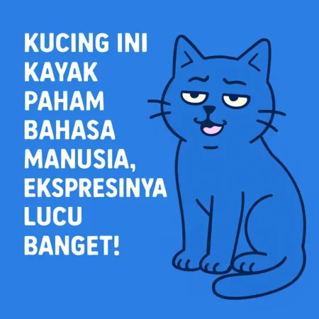 Kucing Ini Kayak Paham Bahasa Manusia, Ekspresinya Lucu Banget!